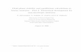 Fluid phase stability and equilibrium calculations in ...