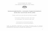 Immunoglobulin, somatic hypermutation and the survival of ...