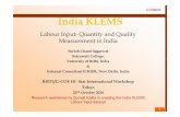 Labour Input- Quantity and Quality Measurement in India