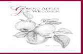 Growing Apples in Wisconsin (A3565)