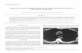 MEDIASTINAL HISTOPLASMOSIS: REPORT OF THE FIRST TWO ...