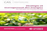 Stratégie et management des énergies - UNIGE