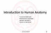 Introduction to Anatomy Resimsiz