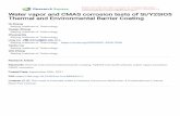 Water vapor and CMAS corrosion tests of Si/Y2SiO5 Thermal ...