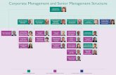Corporate Management and Senior Management Structure