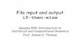 File input and output