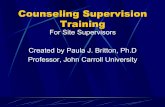 Counseling Supervision Training