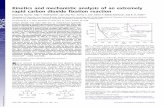 Kinetics and mechanistic analysis of an extremely rapid ...