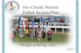 Tribal Suicide Prevention Action Plan