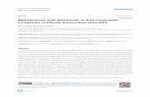 Maintenance with Rituximab in anti-neutrophil cytoplasm ...
