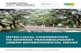 INTER-LOCAL COOPERATION TO ADDRESS TRANSBOUNDARY …