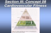 08 - Cardiovascular Fitness - JUST