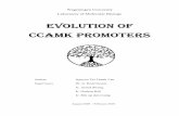 EVOLUTION OF CCAMK PROMOTERS CCAMK PROMOTERS