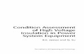 Condition Assessment of High Voltage Insulation in Power ...