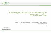 Challenges of Service Provisioning in MPLS OpenFlow