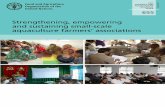 Strengthening, empowering and sustaining small-scale ...