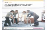SAP BusinessOne In-Depth Brochure