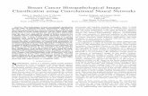 Breast Cancer Histopathological Image Classiﬁcation using ...