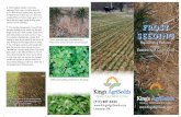 FROST SEEDING - King's AgriSeeds