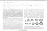 Vol 453 1 May 2008 doi:10.1038/nature06733 LETTERS