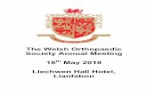 The Welsh Orthopaedic Society Annual Meeting