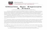 Chlorine Gas Exposure & Trees - BugwoodCloud