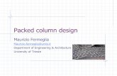 Packed column design - units.it