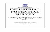 Government of Rajasthan INDUSTRIAL POTENTIAL SURVEY
