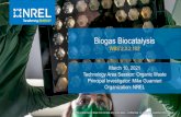 Biogas to Liquid Fuels and Chemicals Using a ...