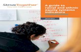 A guide to racial and ethnic equity systems indicators