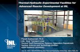 Thermal-Hydraulic Experimental Facilities for Advanced ...