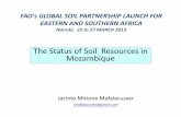 The Status of Soil Resources in Mozambique