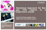 Numerical Approach for flue gas CO2 capture in a ...