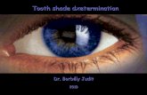 Tooth shade determination - Semmelweis Egyetem