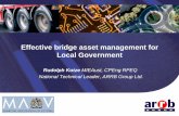 Effective bridge asset management for Local Government