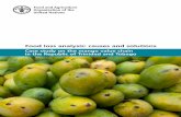 Case study on the mango value chain in the Republic of ...