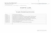 CHP3 Lab Lab Instructions