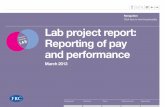 Click here to view functionality Lab project report ...
