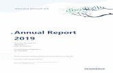 Annual Report 2019 - Virk