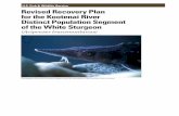 U.S. Fish & Wildlife Service Revised Recovery Plan for the ...