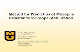 Method for Prediction of Micropile Resistance for Slope ...