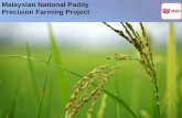 Malaysian National Paddy Precision Farming Project