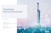 Schlumberger Real Time Data Solutions - ANPG