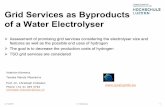 Grid Services as Byproducts of a Water Electrolyser