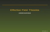Eﬀective Field Theories