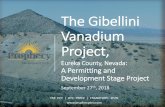 The Gibellini Vanadium Project,