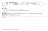 Fallot Associated ceRNA Regulatory Network in Tetralogy of ...