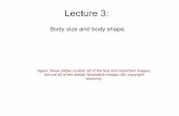 Body size and body shape. - University of Edinburgh