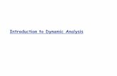 Introduction to Dynamic Analysis