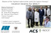 neutron beams for BNCT - Indico
